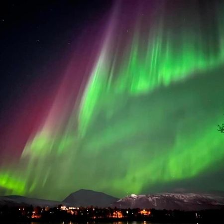 Polar Cozy Apartment - With View And Free Parking Tromsø Exterior foto