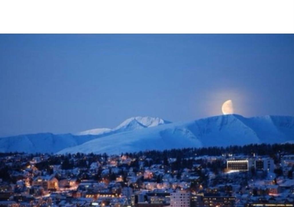 Polar Cozy Apartment - With View And Free Parking Tromsø Exterior foto